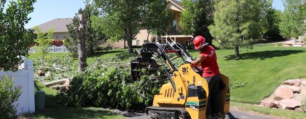 Newell Bros Tree & Landscaping Service