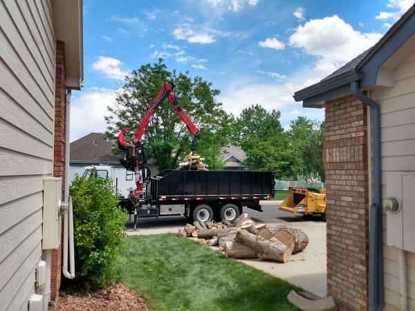 Newell Bros Tree & Landscaping Service