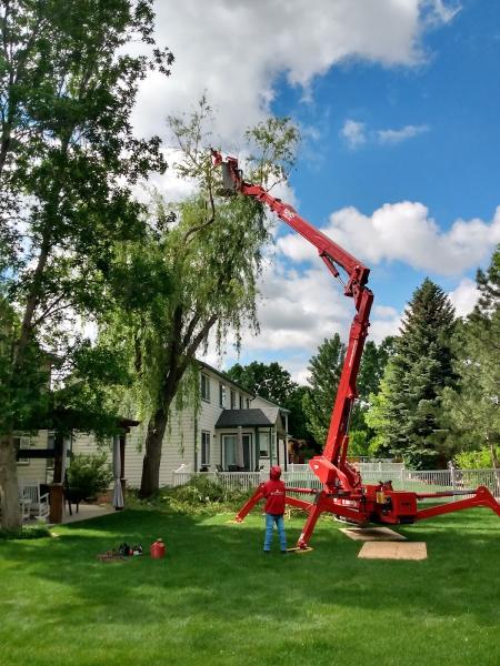 Newell Bros Tree & Landscaping Service