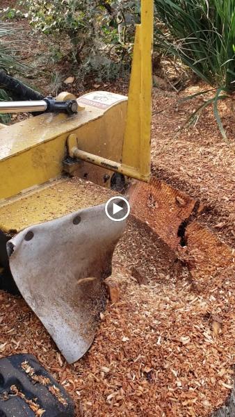 Green-Pro Arborist
