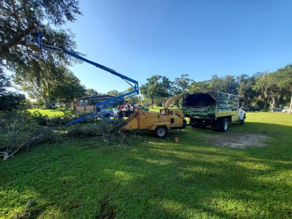 Green-Pro Arborist