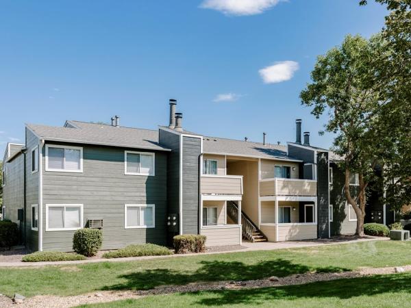Rapid Restoration & Construction