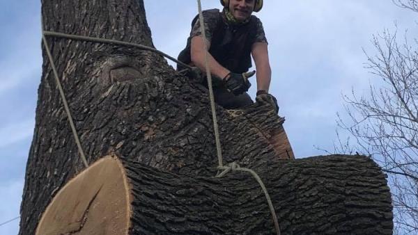 DJC Tree and Services