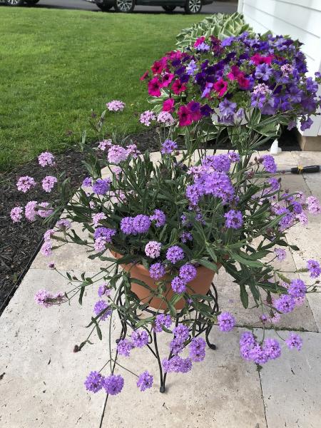New Image Landscaping & Tree Service Middlefield