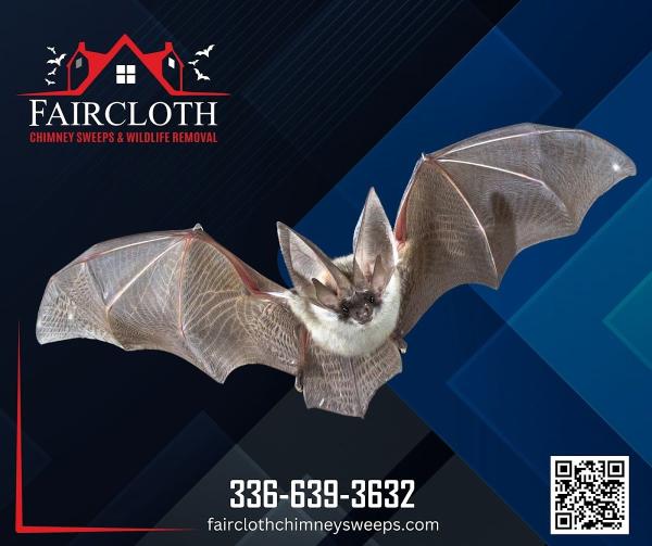 Faircloth Chimney Sweeps and Wildlife Removal LLC