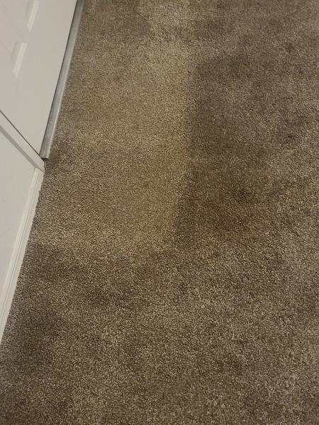 Amazing Carpet & Tile Cleaning
