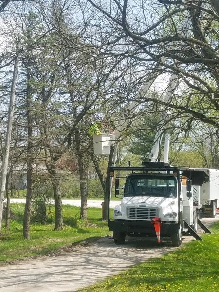 Spaulding's Tree Service