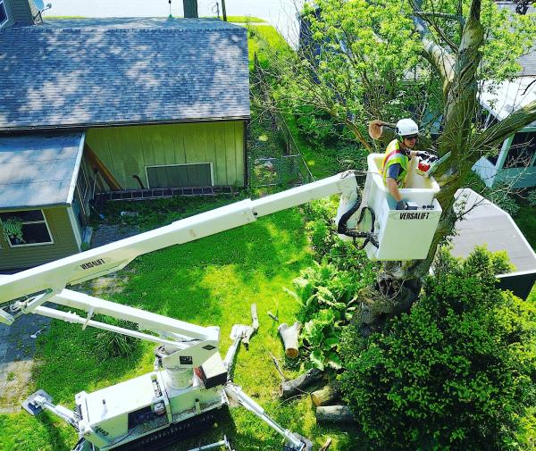 Spaulding's Tree Service
