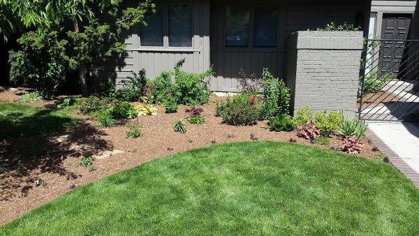 Wildwood Tree Care LLC