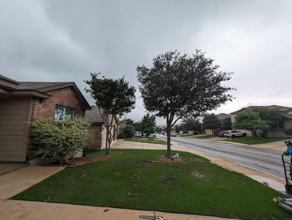 210 Tree Care