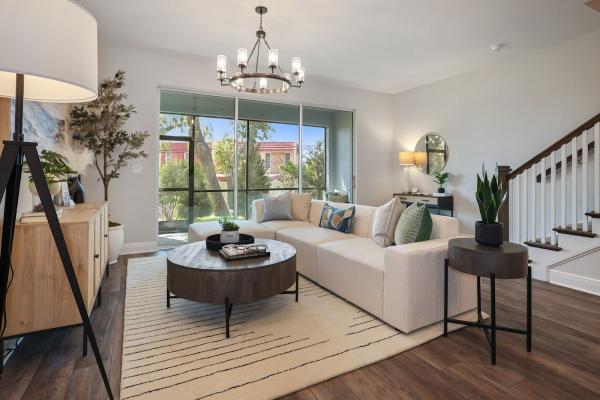 Olive Leaf Staging