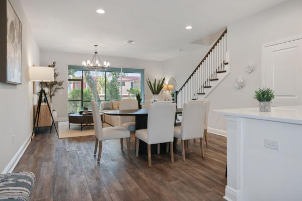 Olive Leaf Staging