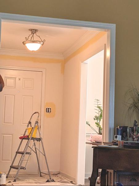 Elite Housewashing & Property Maintenance LLC