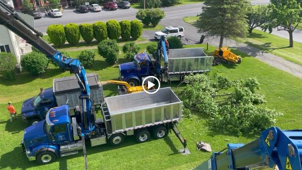 Martin's Tree Service Inc.