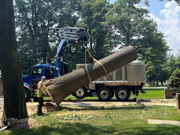Martin's Tree Service Inc.