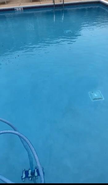 Heavenly Pool Services
