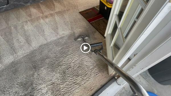 Elite Carpet Cleaning