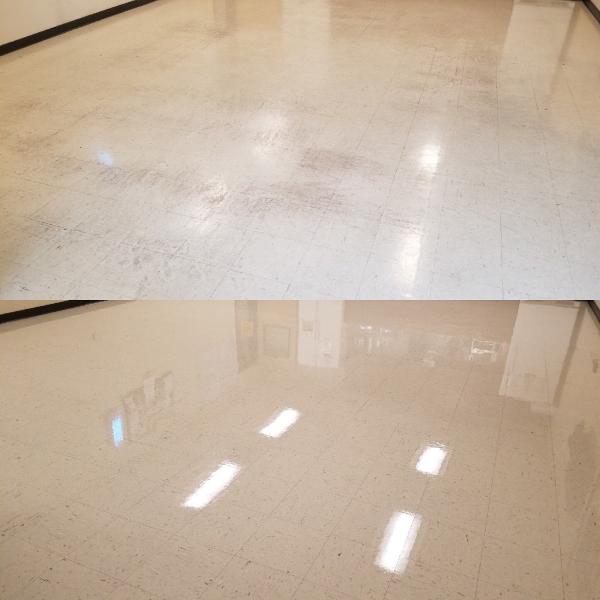 Davis Woodland Carpet Care