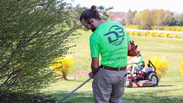 D3 Lawn Care