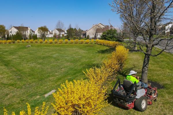 D3 Lawn Care