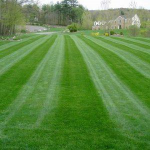 D3 Lawn Care