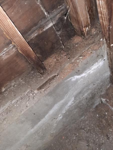Top Grade Termite Control