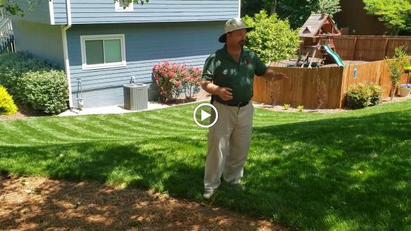 Arbor-Nomics Turf