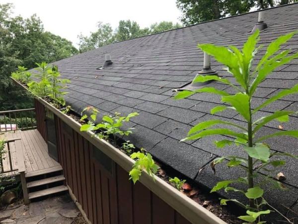 Greater American Roofing
