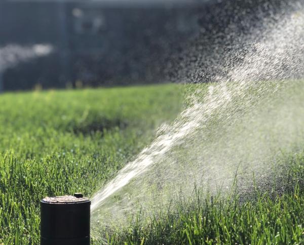 Seattle Sprinklers