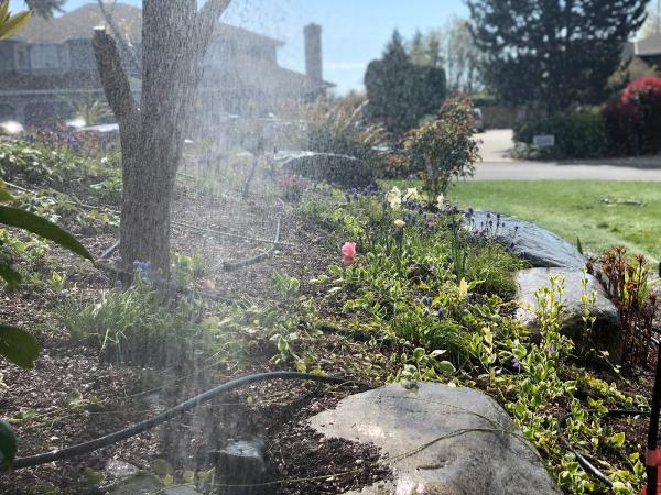 Seattle Sprinklers