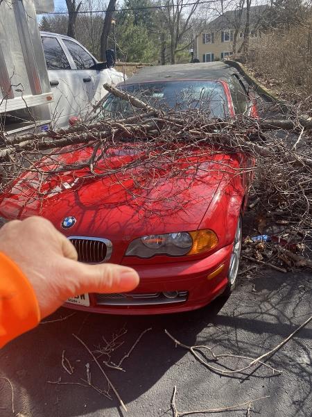 Eugene M Brennan Tree Service Llc