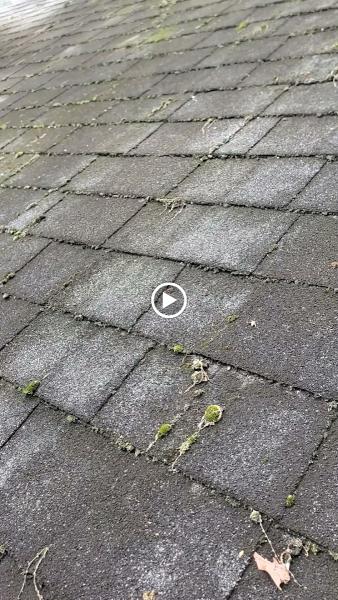 Champion Power Washing