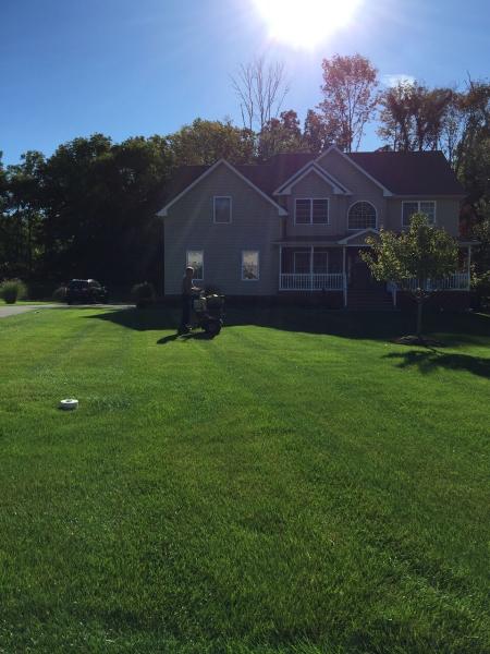 Go Organic Lawn Care