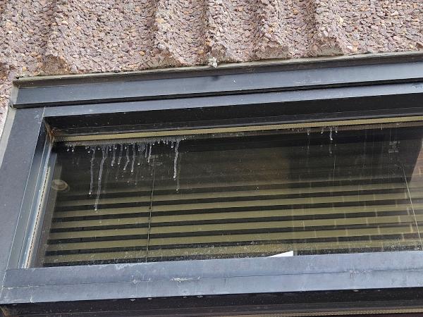 Clear Cut Window Cleaning