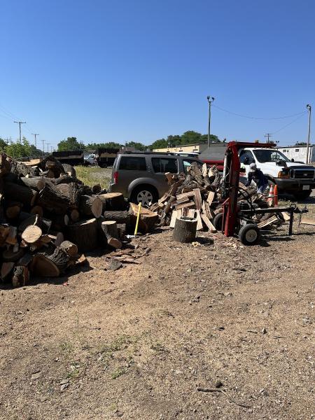 Sanchez Tree Service