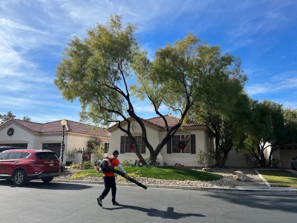 Green Man Tree Service