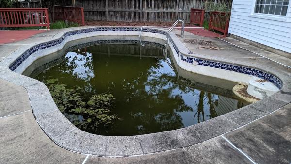 High Quality Pool Services