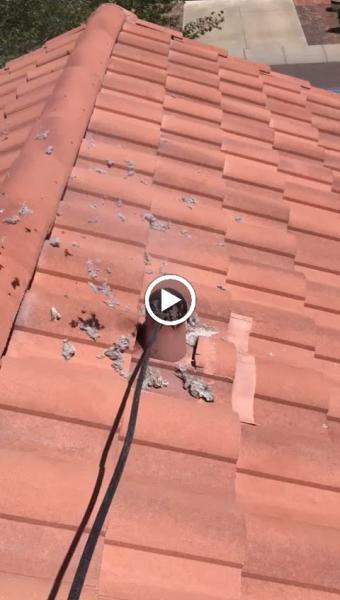 Zebra Phoenix Air Duct Cleaning
