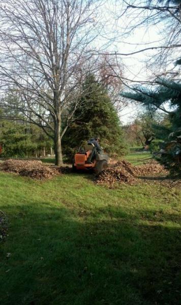 Roshell Lawn Care