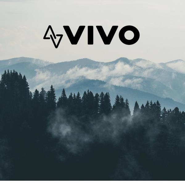 Vivo Energy