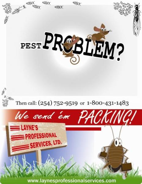 Layne's Professional Services
