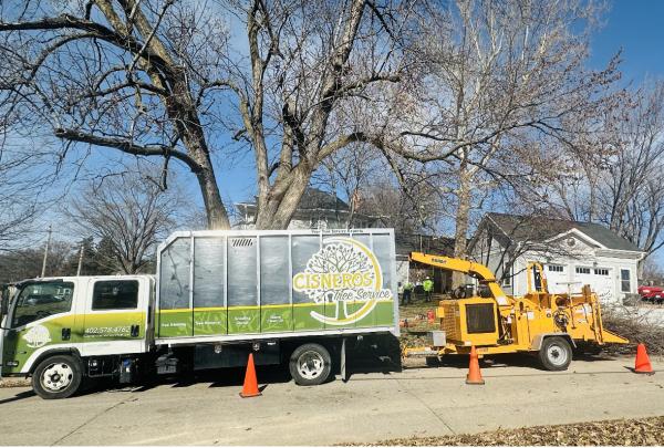Cisneros Tree Service