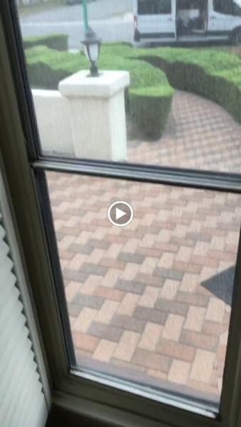 American Window Restoration