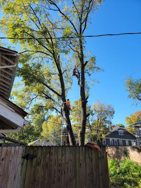 Perez Landscape & Tree Service