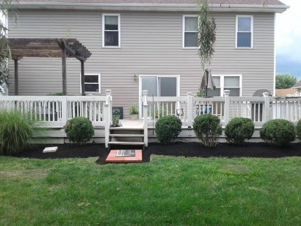 Degree Lawn & Landscape