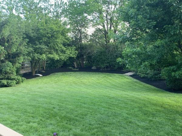 Degree Lawn & Landscape
