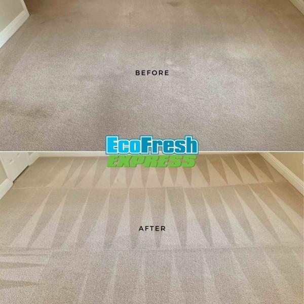 Ecofresh Express