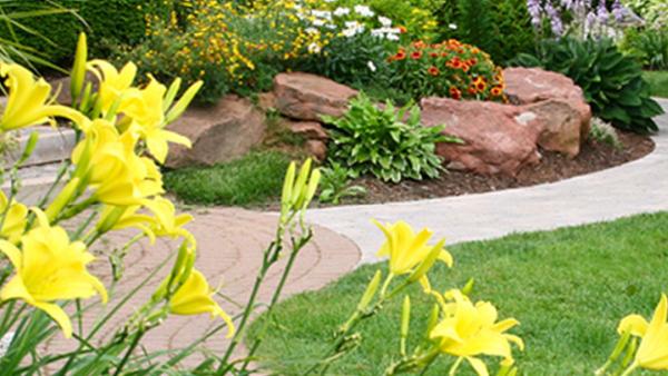 American Landscaping Inc.