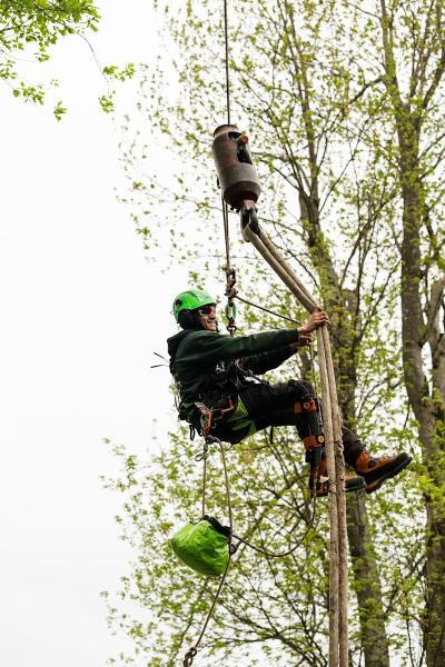 TW Tree Care