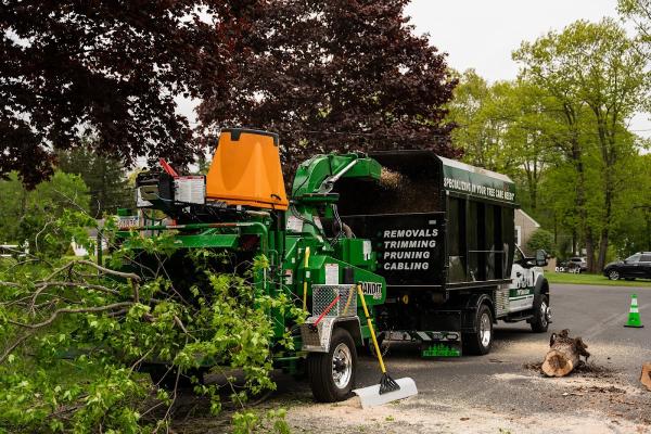 TW Tree Care
